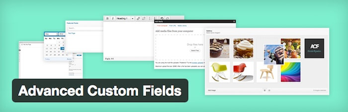 advanced custom fields wordpress plugin for development