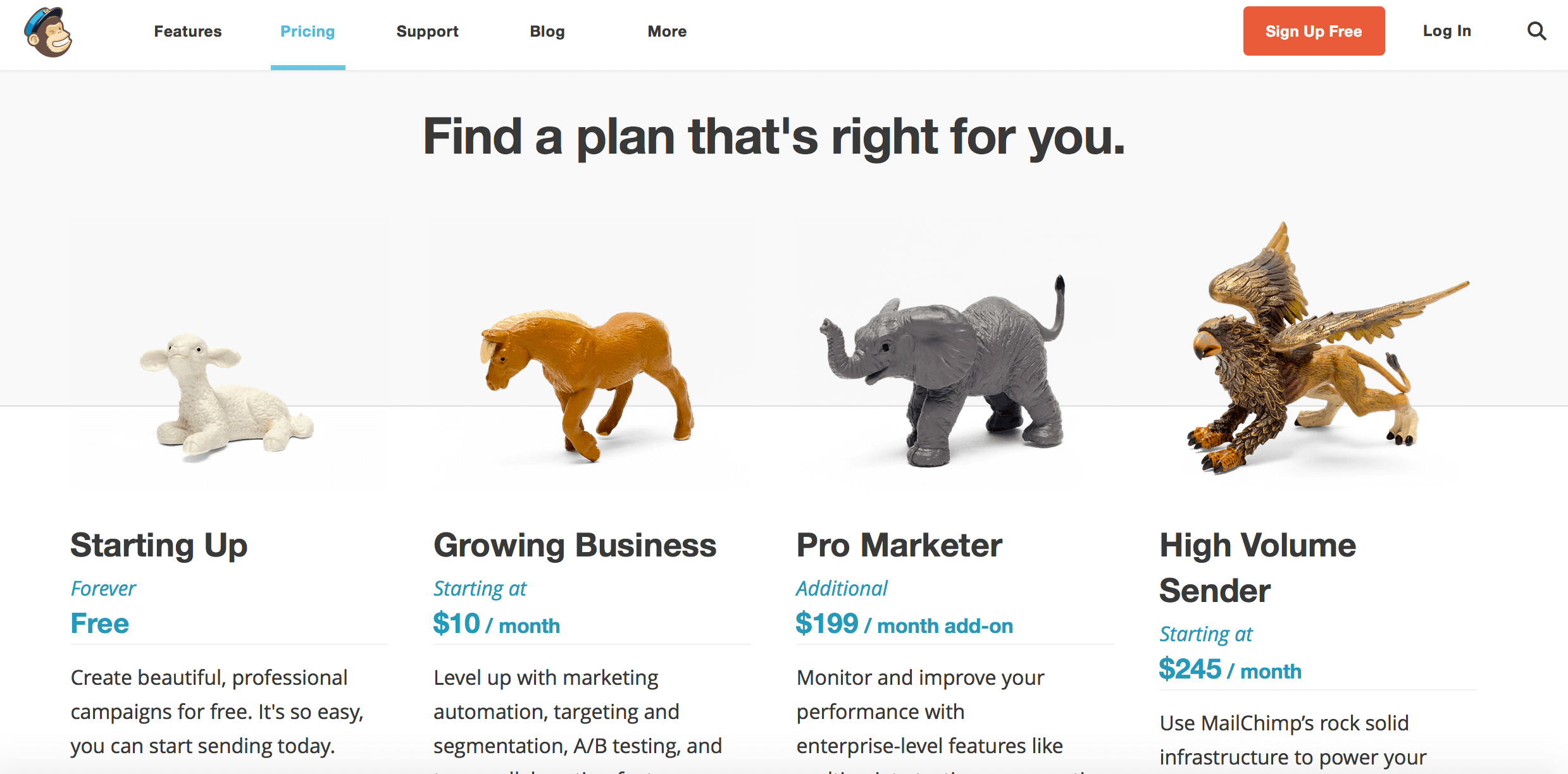 Mailchimp Kommunikation